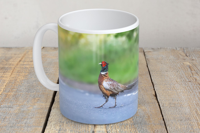 “Rufus Strutting His Stuff” Mug