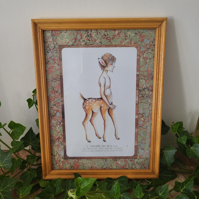 Moyen cadre - &quot;Centaure des bois&quot;