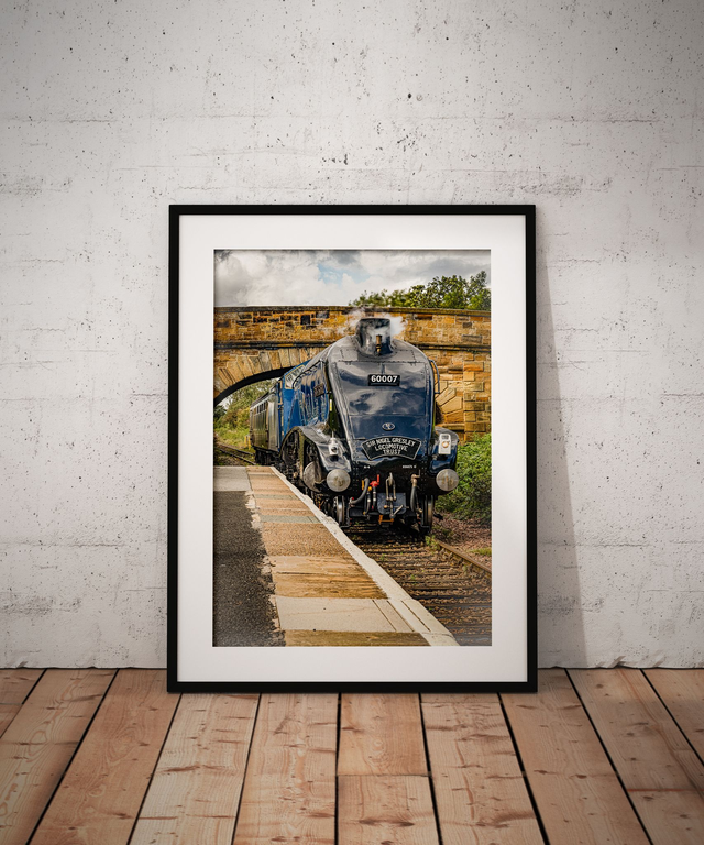 Sir Nigel, Great Ayton