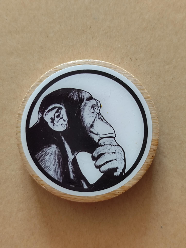 Décapsuleur magnétique singe pour frigo