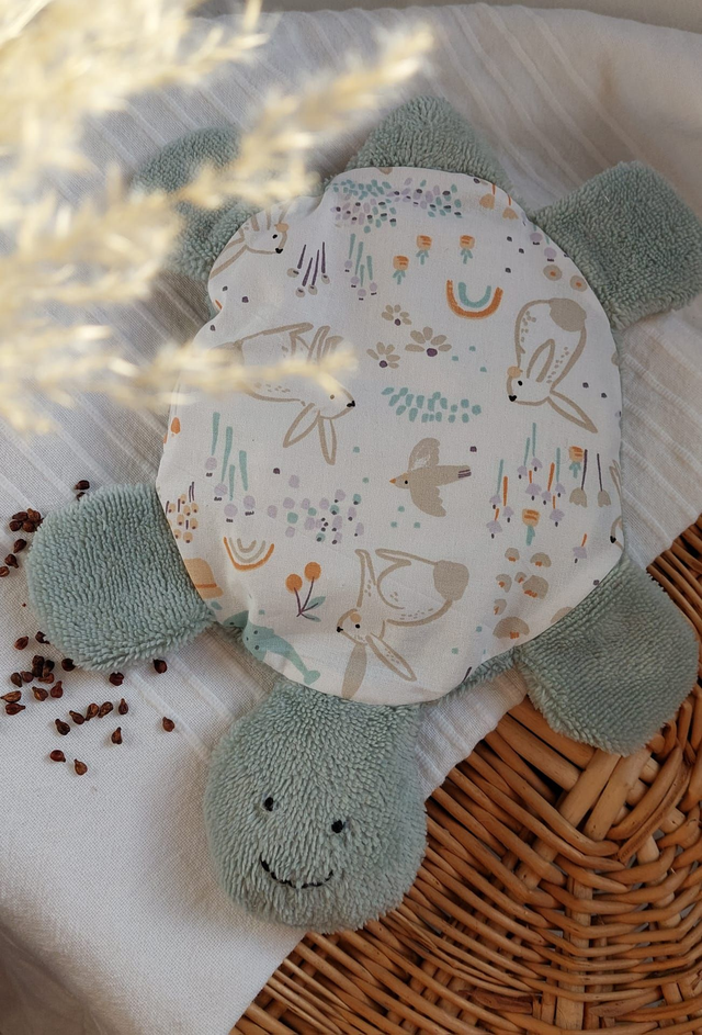 La Tortue bouillotte