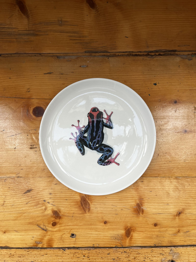 Teller Frosch blau 24cm