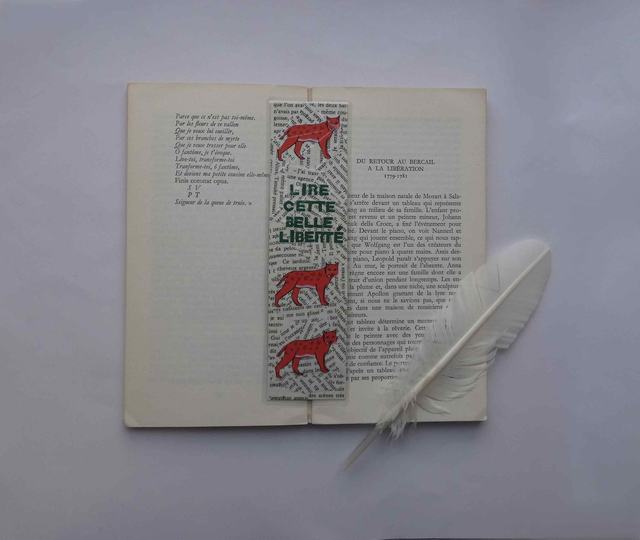 Lire cette belle liberté avec les lynx