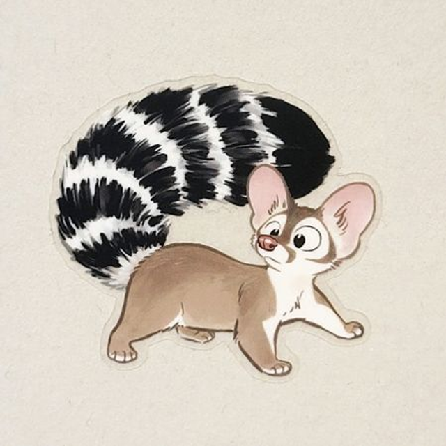 Ringtail transparent sticker