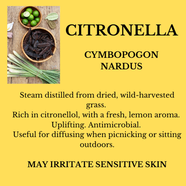 CITRONELLA ESSENTIAL OIL