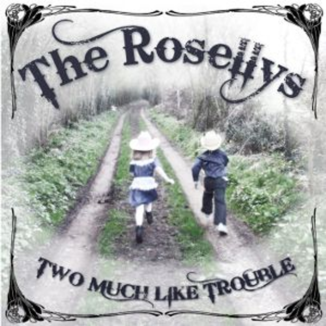 2011 Two Much Like Trouble CD Album 