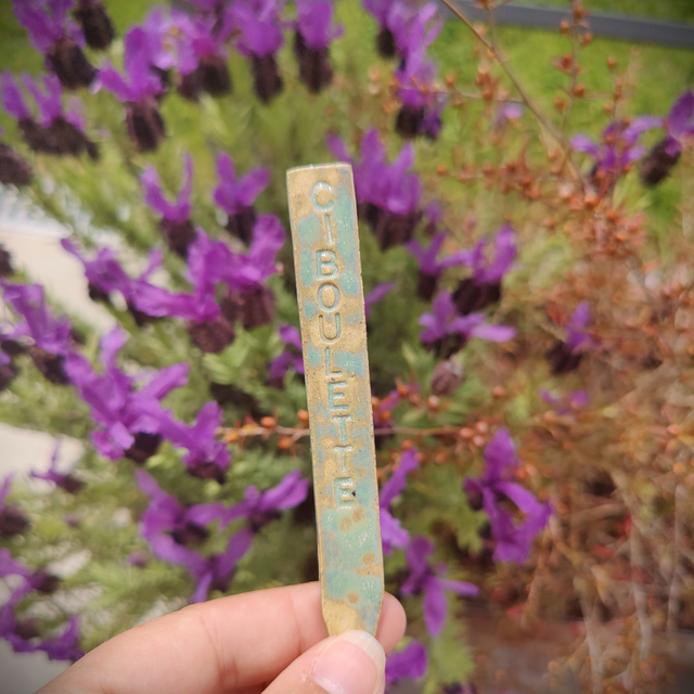 Marqueurs Aromatiques Boréale