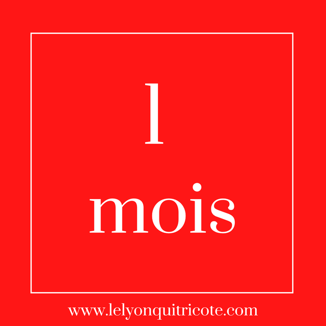 Cours illimité nominatif - 1 mois