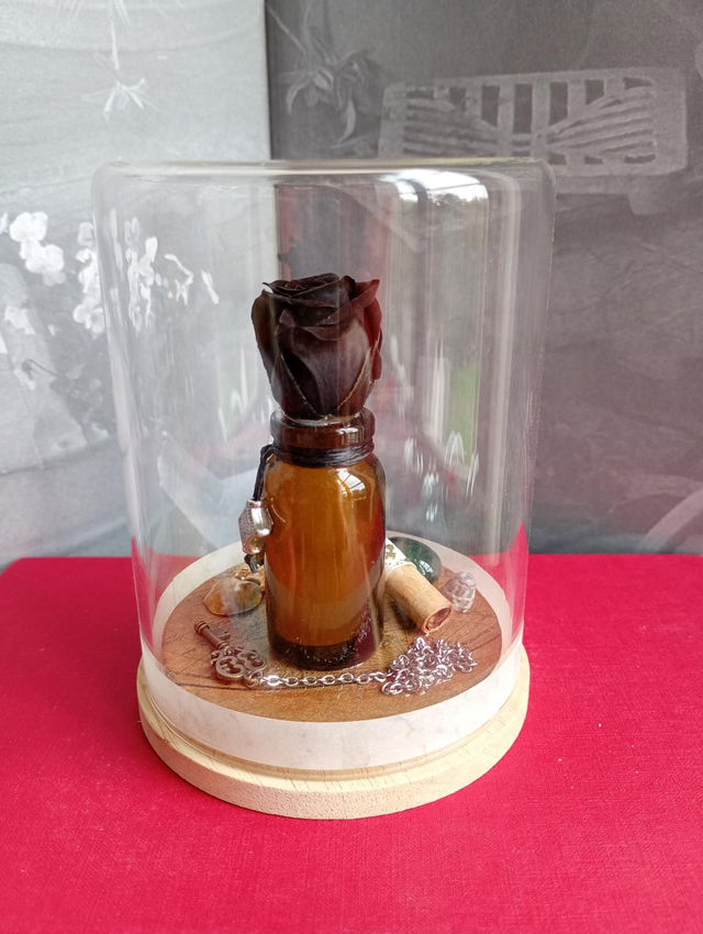 D23 Mini pirate noir