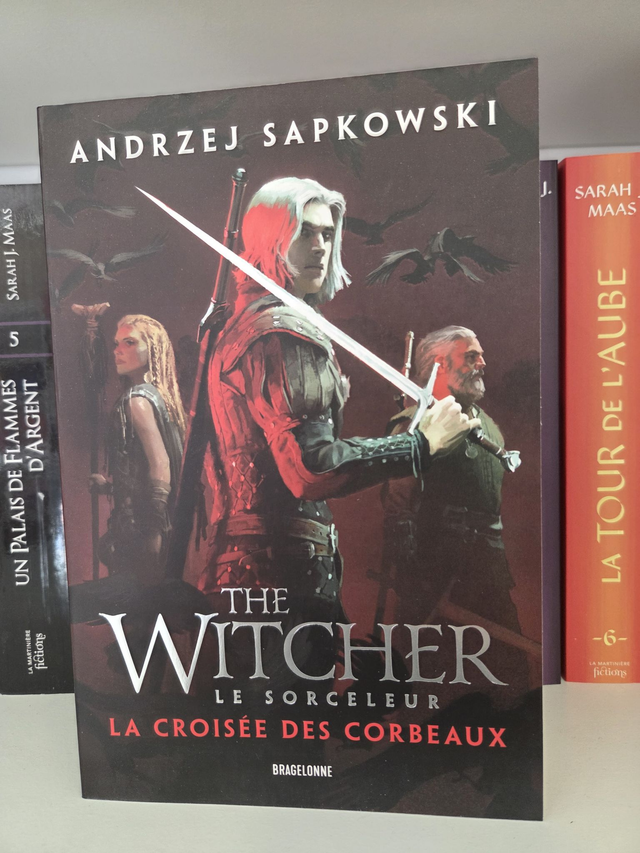 The witcher. Le sorceleur  