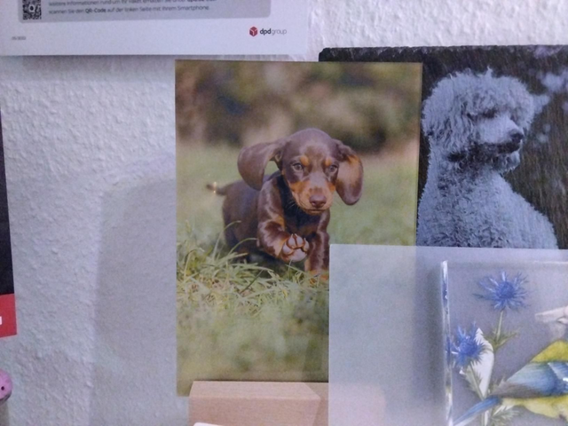 Acryl Druck DIN A5 (12,5x17,5)