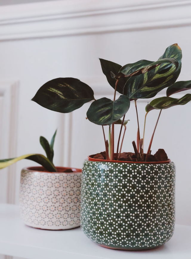 Petit Pot en Argile Coloré - Fait à la Main - 9cm