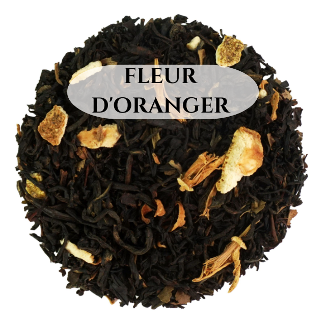 Un été à Tanger BIO