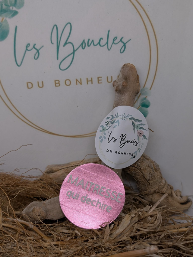 Broche personnalisée Maîtresse br085
