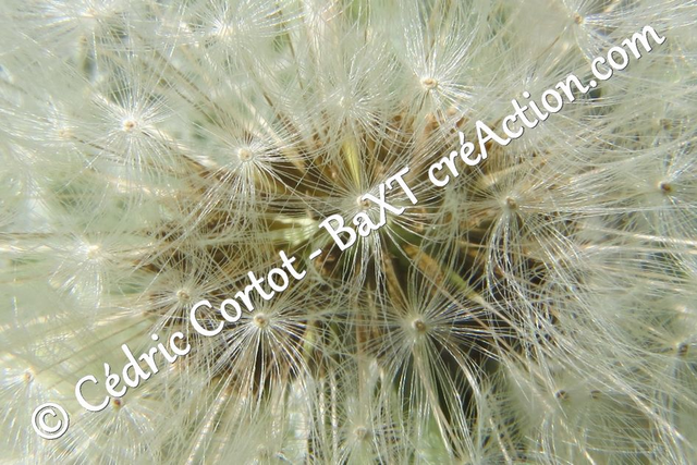 Impression sur alu dibond - Paysages et divers (ref 8868)