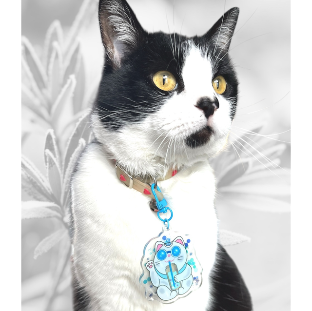 Porte clé Acrylique Chat Bleu