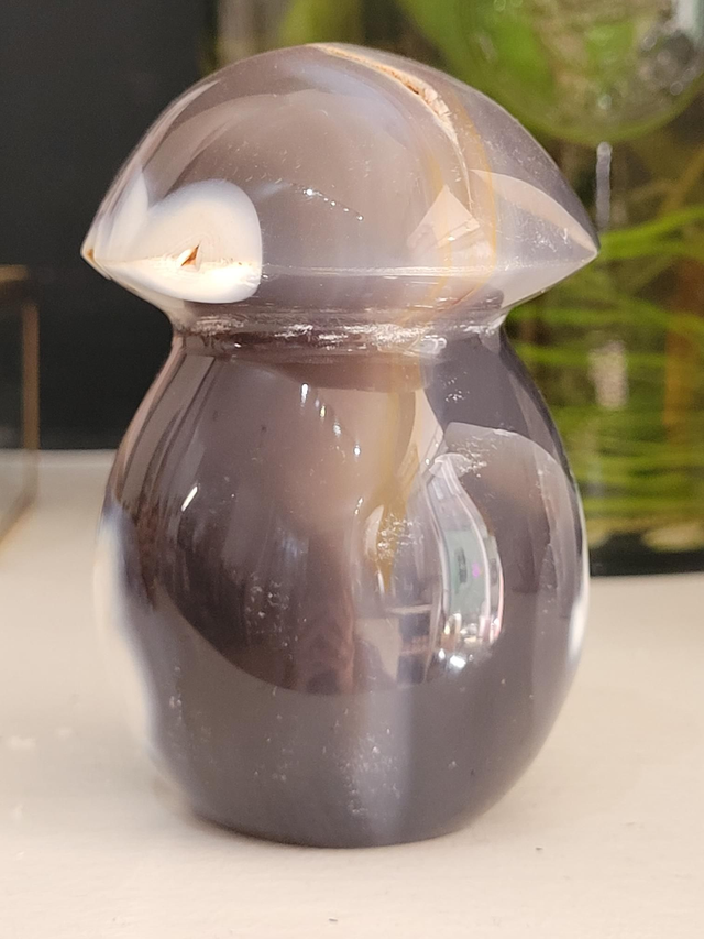 Orca Agate Mushroom