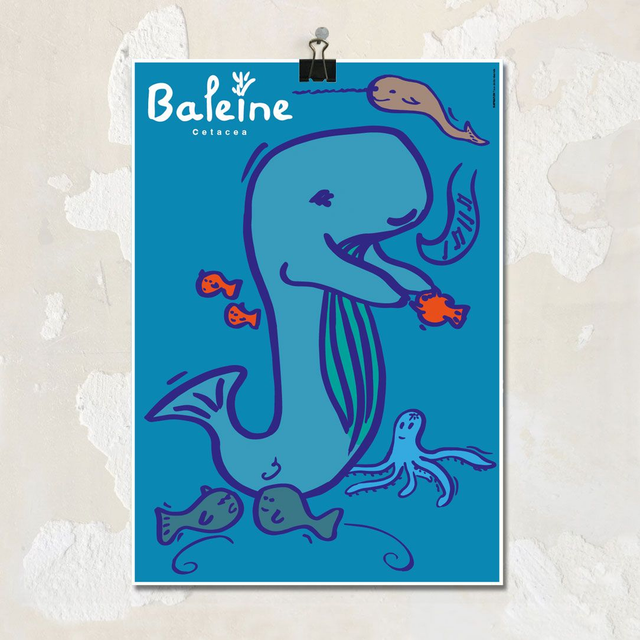 Baleine cetacea