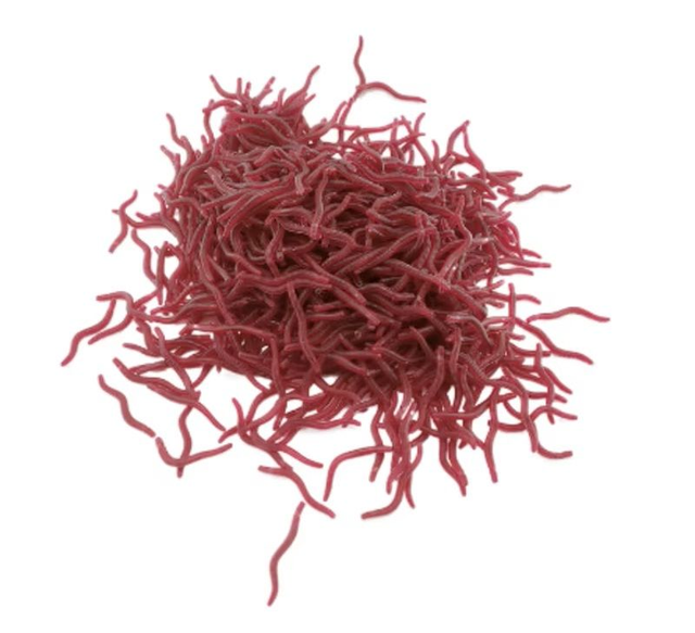 Leurres de Pêche Réalistes en Forme de Ver 100 PC