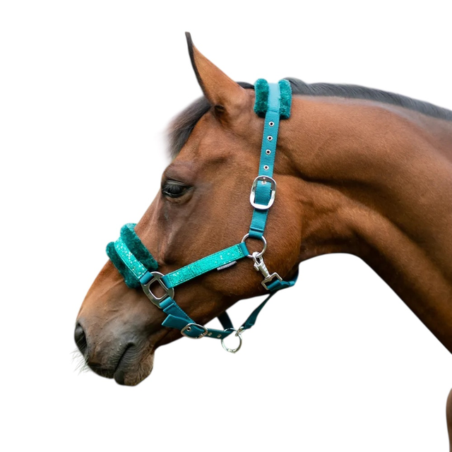 HY Dazzle Head Collar - ALPINE GREEN