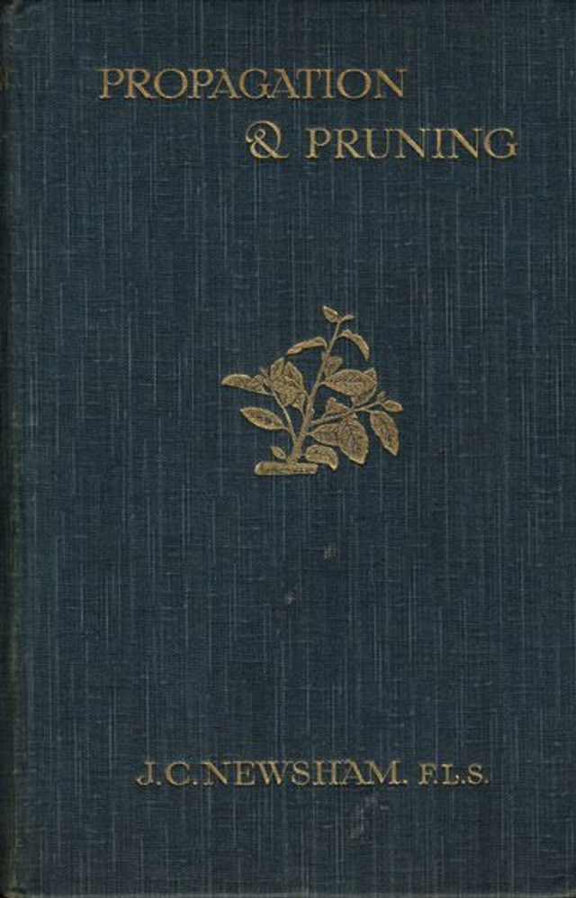 The Propagation Pruning of Hardy Trees etc. by John Clark Newsham