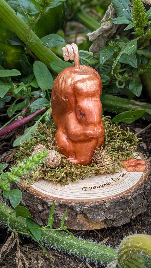 Pistache l&#039;écureuil 🐿️🍂