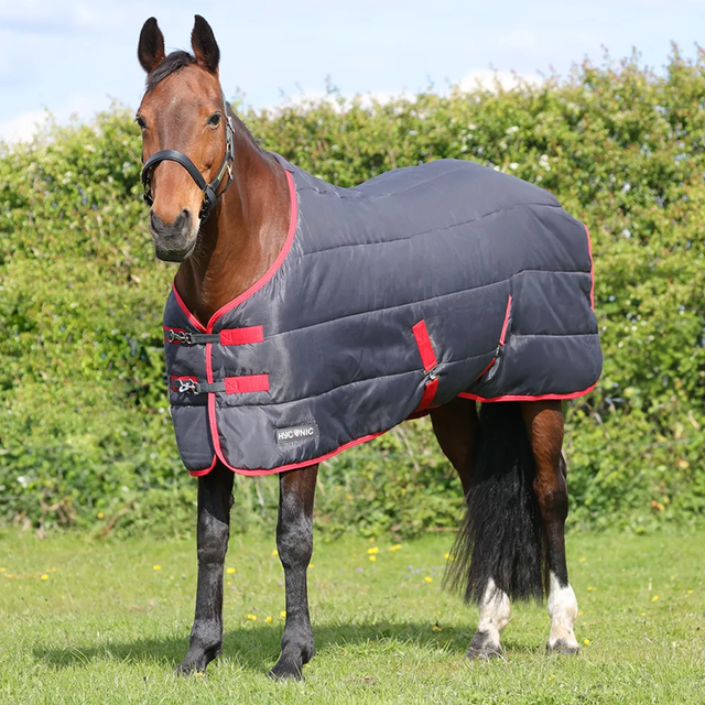 HyCONIC 250g Stable Rug  - Red/Charcoal 