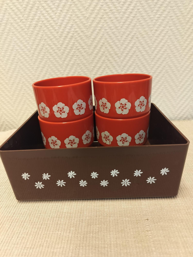 Retrot Sarvis mukit + rasia #067