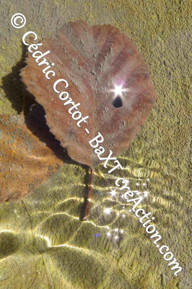 Impression sur alu dibond - Reflets et cours d'Eau (ref 6695)