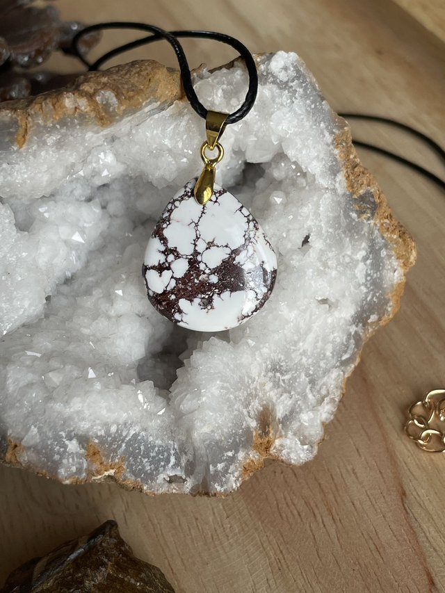 🐴 JASPE CHEVAL SAUVAGE 