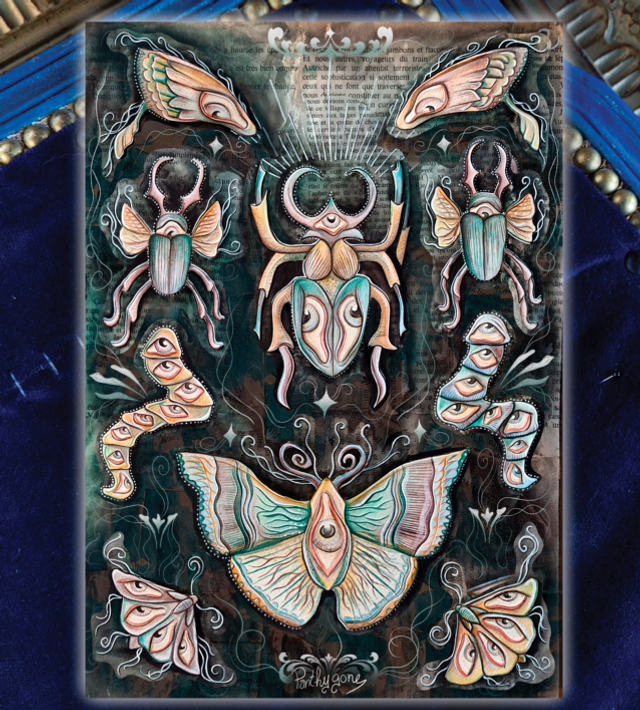 Planche d&#039;insectes oeil - Print A4/A3