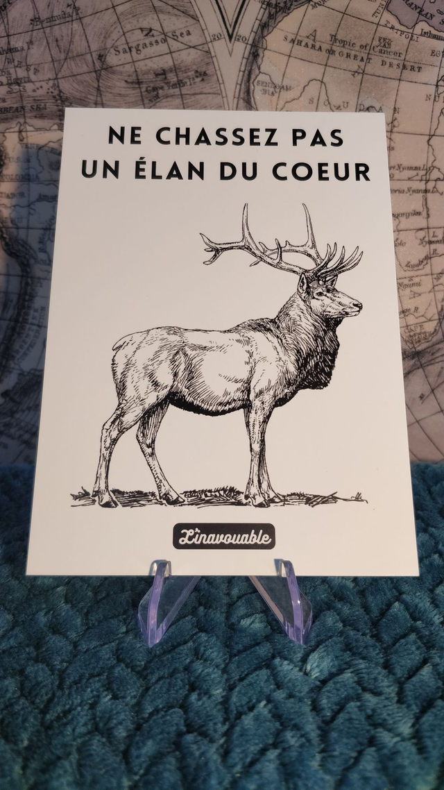 CARTE "NE CHASSEZ PAS UN ELAN DU COEUR"
