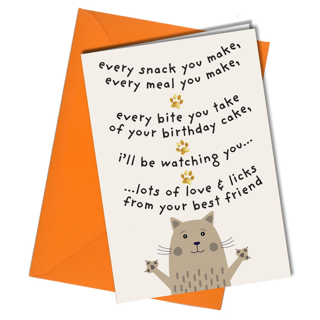 #13 Every Bite You Take | Birthday Card From The Cat