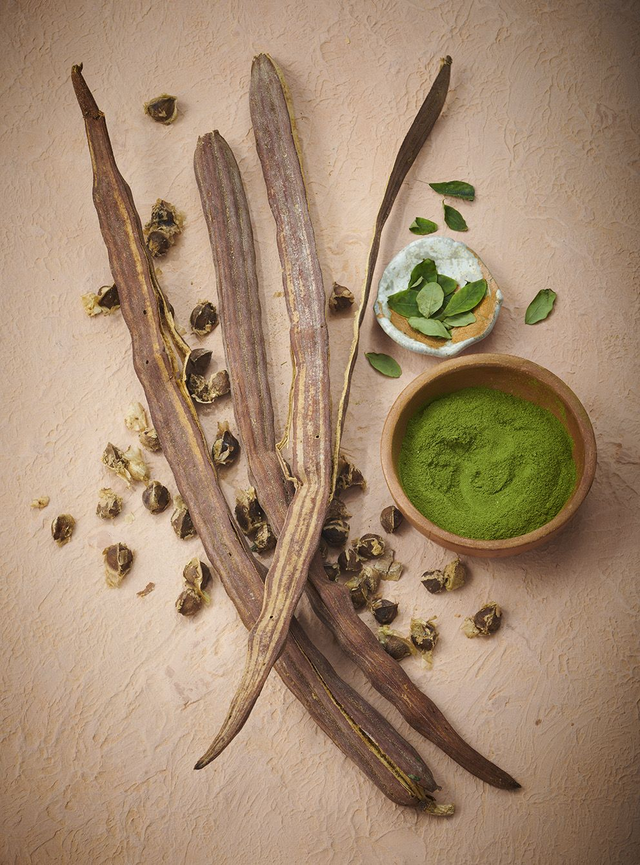 Mon Afrique - Le Chef Anto