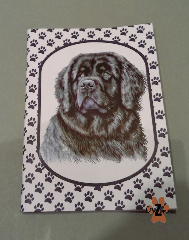 Carnet de note Terre neuve