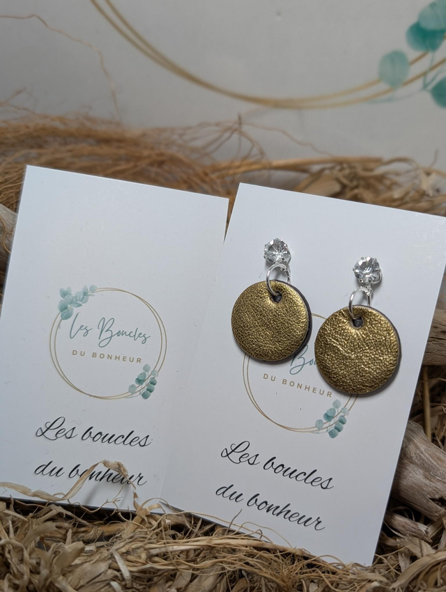 Boucles d&#039;oreilles Anti Gaspi doré ag164