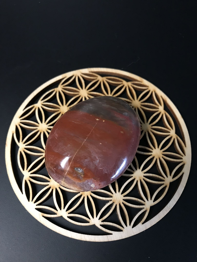 BOIS FOSSILISE - Galet 2 [Madagascar]