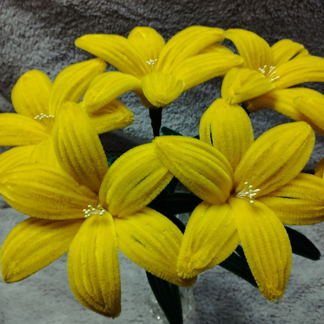 Lys jaune
