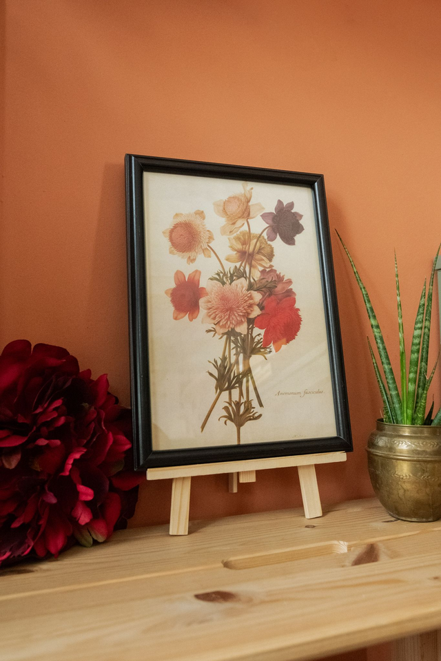 Florae Obscura 🥀 Cadre revalorisé