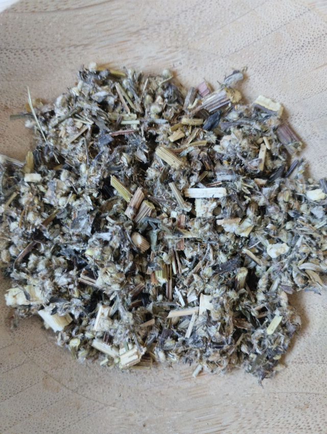 Armoise  (Artemisia vulgaris)