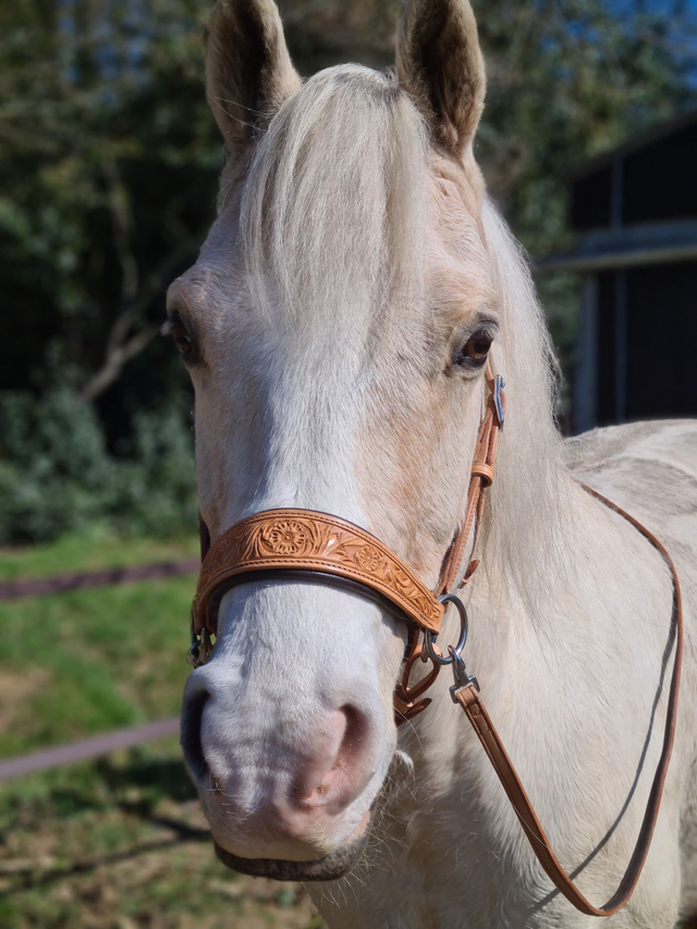 EDIX ED2, side pull Rose collection