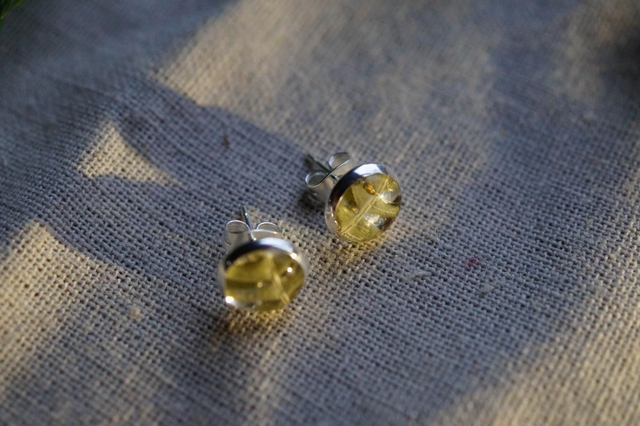 Clous d'oreilles - Fougère