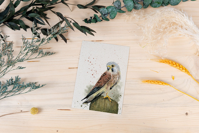Graspapierkarte - Turmfalke