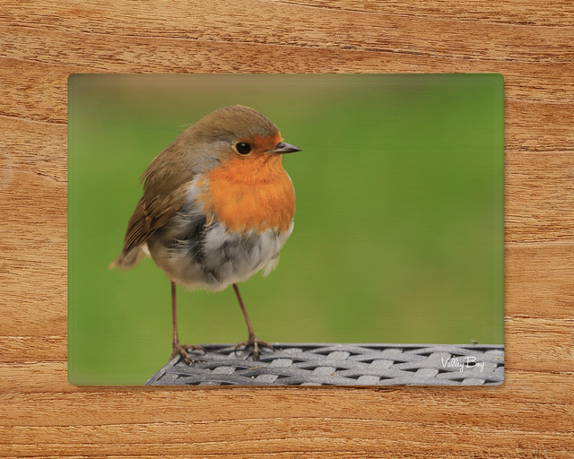 "Robby Robin" Glass Worktop Saver