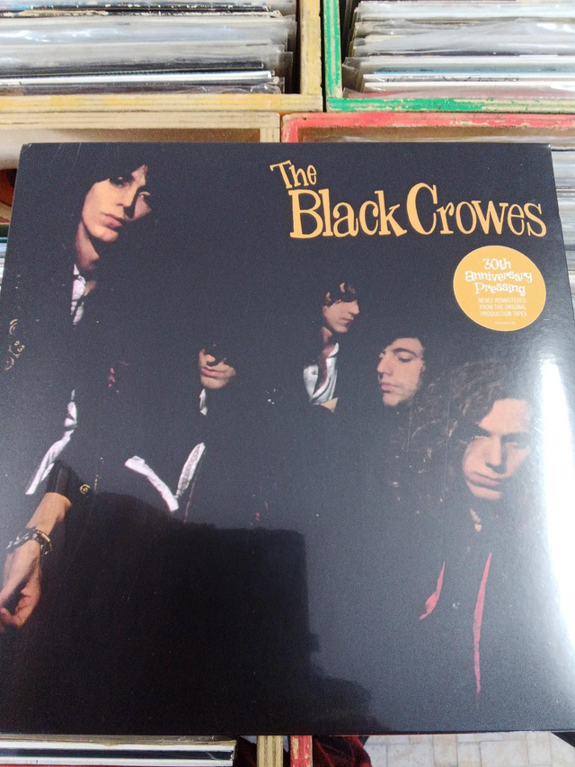 The Black Crowes – Shake Your Money Maker