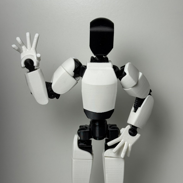 DUMMY 13 - Tesla Optimus