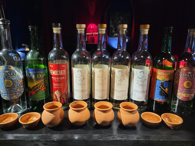 Mezcal Tasting Experience