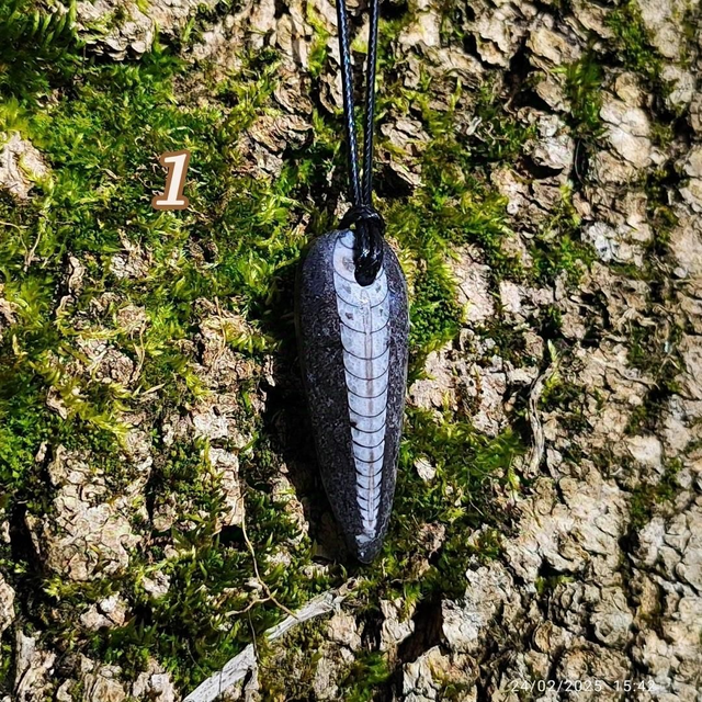 Collier &quot;Orthoceras&quot;