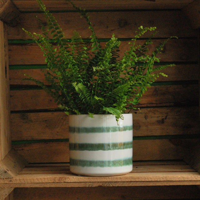 Striped Cylinder Pot Green &amp; White