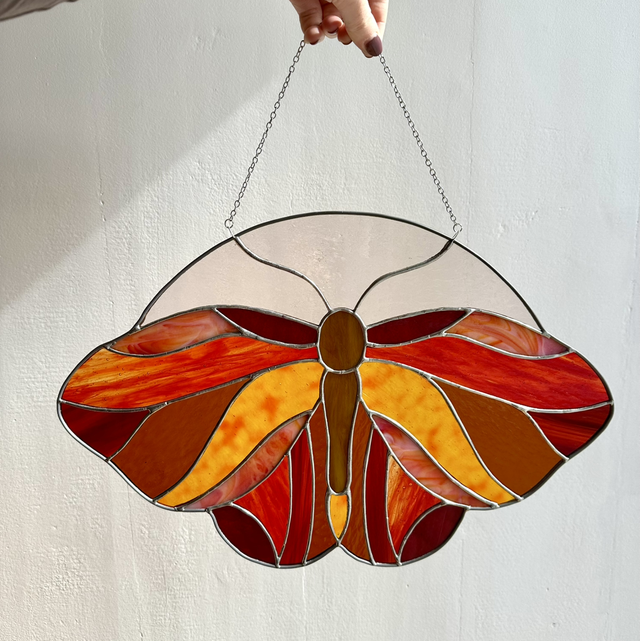 Grand papillon Solenium